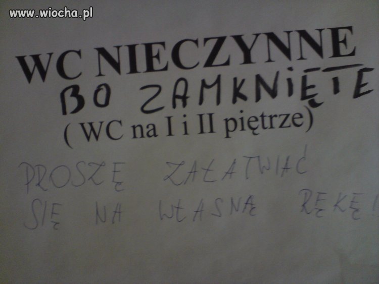 Szkolna toaleta haha 