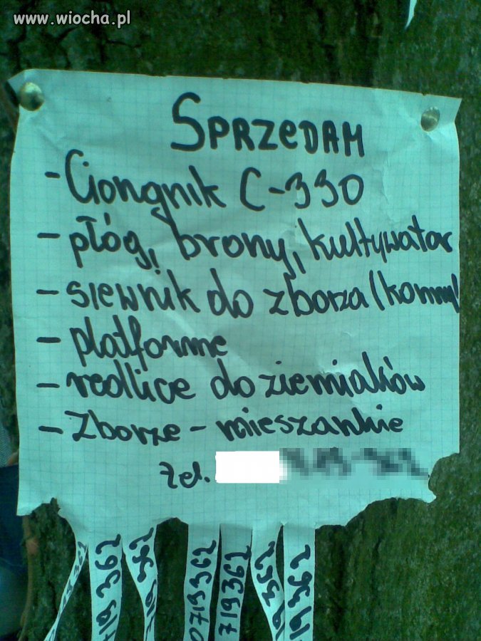 Wiejska ortografia