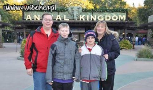 Anal Kingdom...