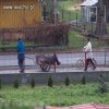 Powrót do domu...