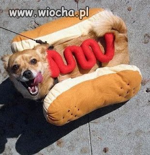 Hot dog.
