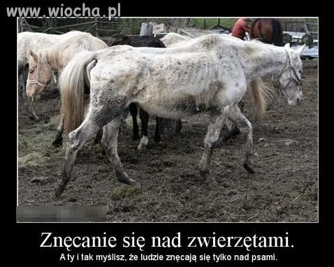 Bo to jest dla mnie największą wiochą.