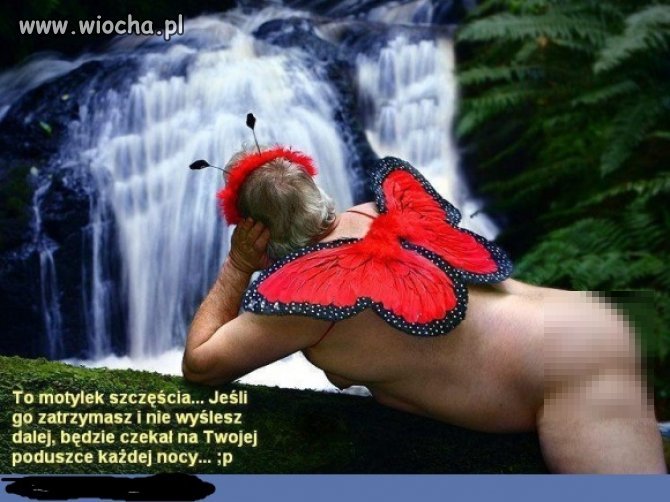 Za długo się nie zastanawiałem ...