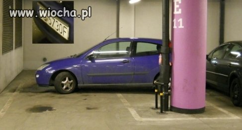 Mistrzyni parkowania