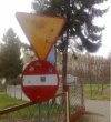 Tylko w Polsce