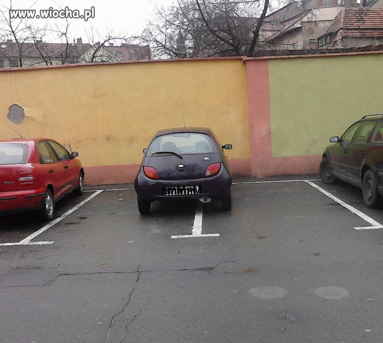 Mistrz parkowania...
