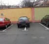 Mistrz parkowania...