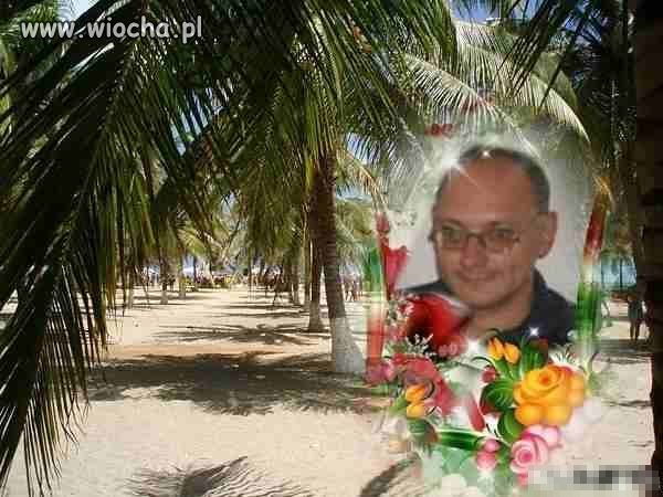 A takie tam na tle ściany pod palmami ..