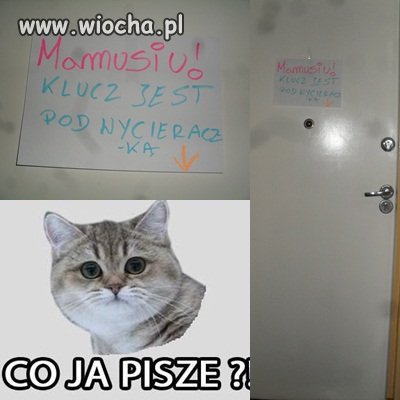 Debilizm ludzki nie zna granic 