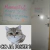 Debilizm ludzki nie zna granic 