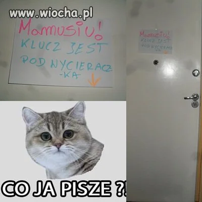 Debilizm ludzki nie zna granic 