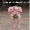 Idiota!!