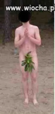 Idiota!!