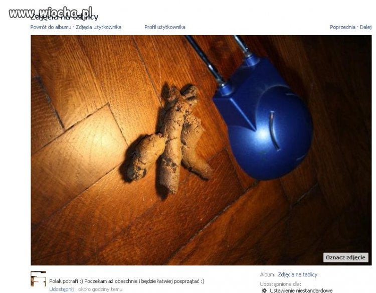 Szczyt debilizmu