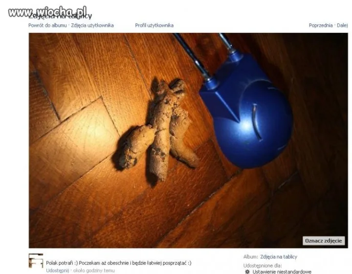 Szczyt debilizmu