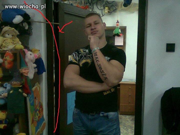 KOKS  XXI WIEKU!