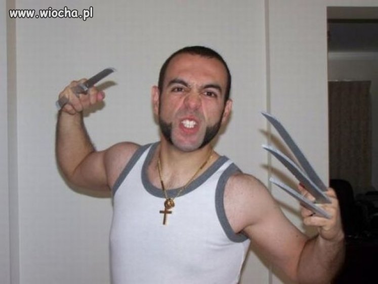 Wolverine