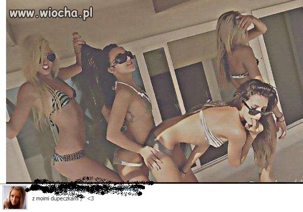 Laska ma dużo zdjęć podobnych