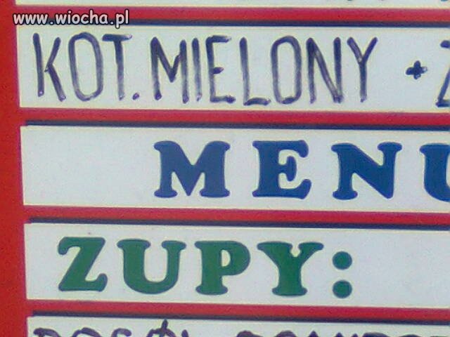 Kot ... 