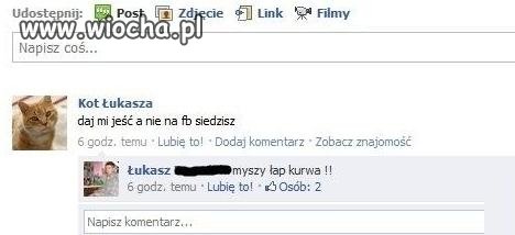 Kot Łukasza..:)
