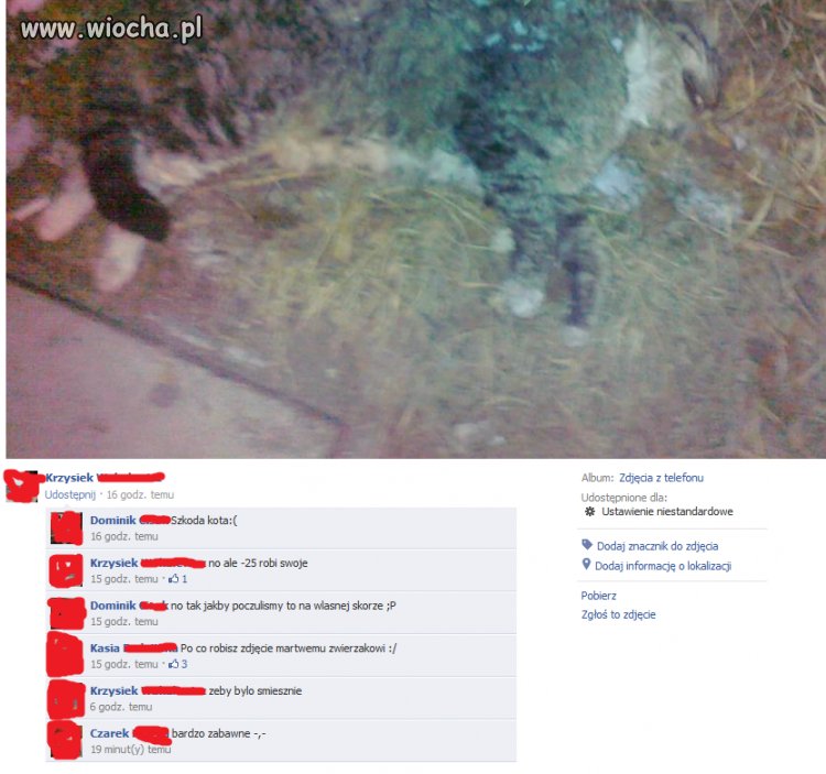 Kto uważa, że takie zachowanie jest wiochą...