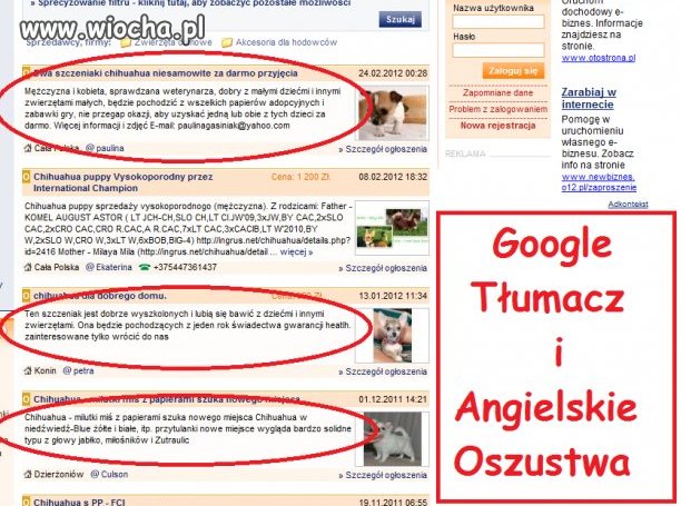 Google Tłumacz i...