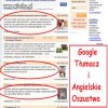 Google Tłumacz i...