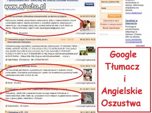 Google Tłumacz i...