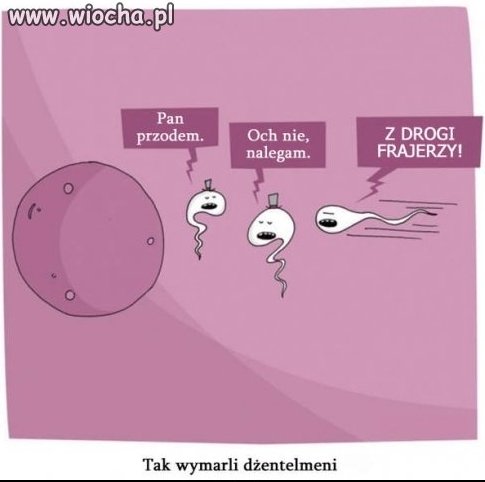 Tak wymarli dżentelmeni