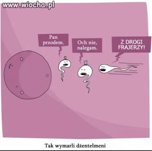 Tak wymarli dżentelmeni