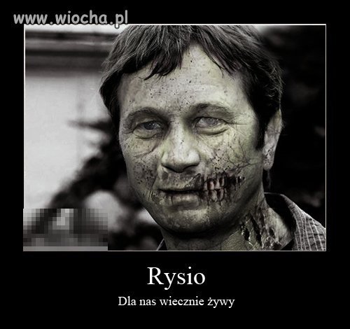 Rysio
