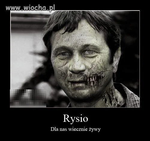 Rysio