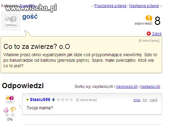 Zwierze...