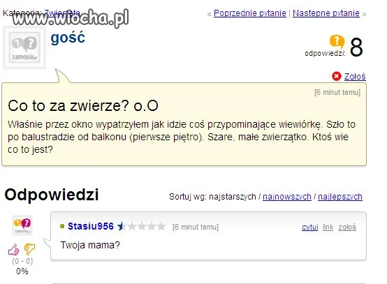 Zwierze...