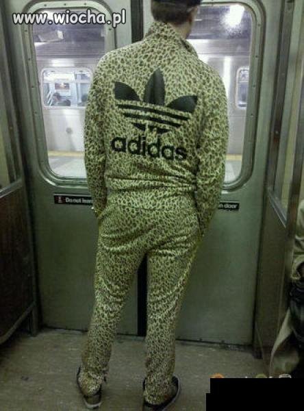 ADIDAS + panterka
