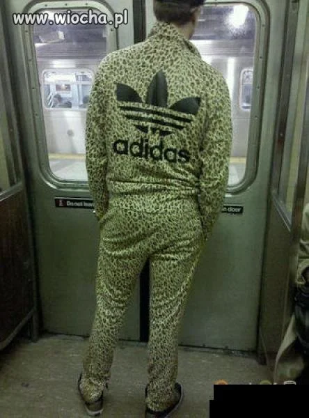 ADIDAS + panterka
