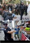Policja