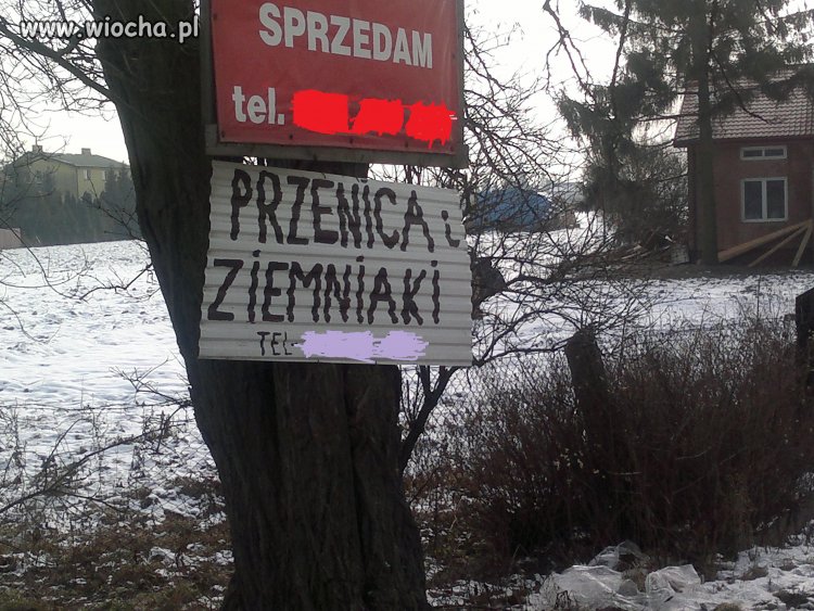 Jak to się pisało?