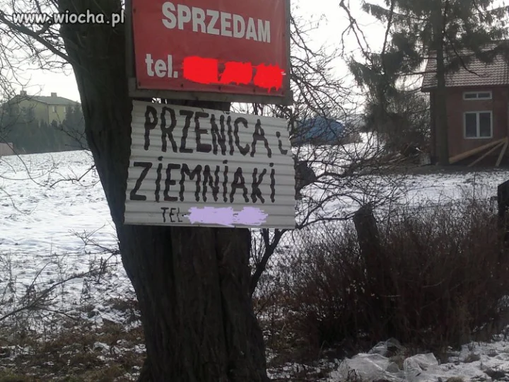 Jak to się pisało?