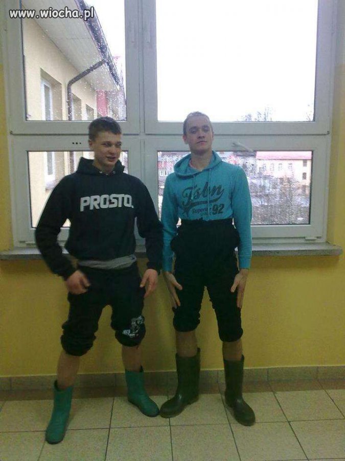 Nowa moda