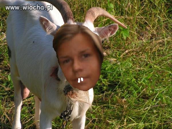 Mistrz "PhotSzopa"
