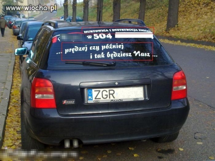Przynajmniej oni mówią prawdę na reklamie 