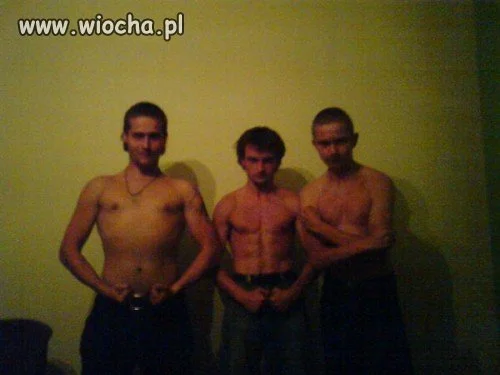 Koksy