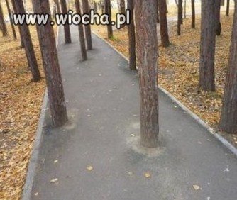 Takie ścieżki rowerowe