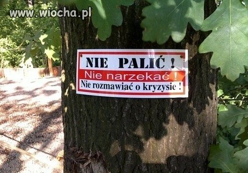 Co my biedni mamy robić?