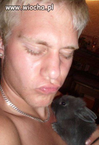 Jest dzióbek, jest bunny