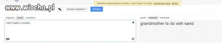 Tłumacz google