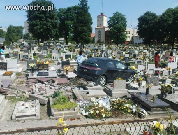 Wygląda na fotomontaż, ale komenty mówią co innego