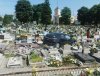 Wygląda na fotomontaż, ale komenty mówią co innego