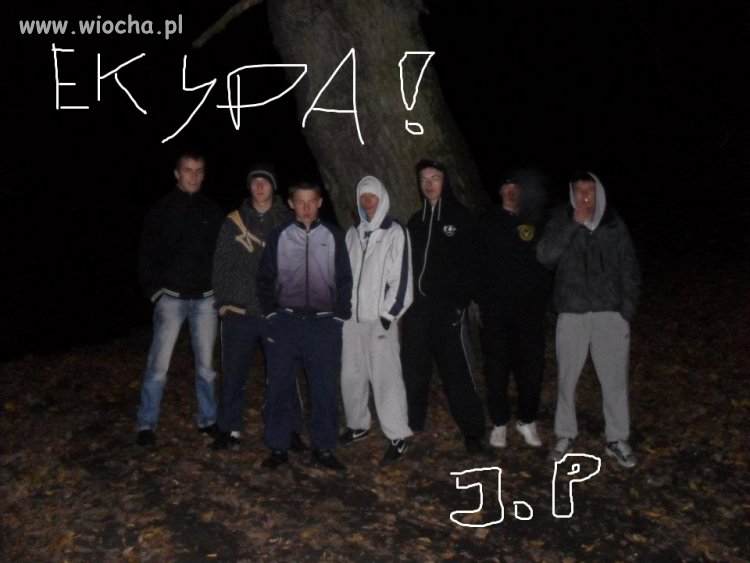 J.p 100%